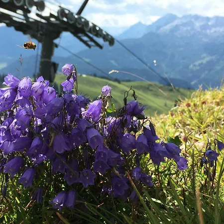 公寓 Kogelblick 格绍