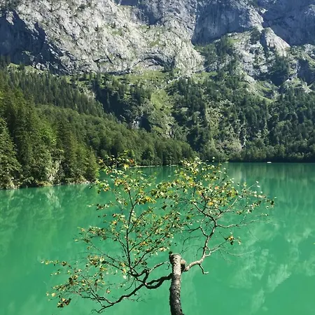 Kogelblick Apartment Gosau