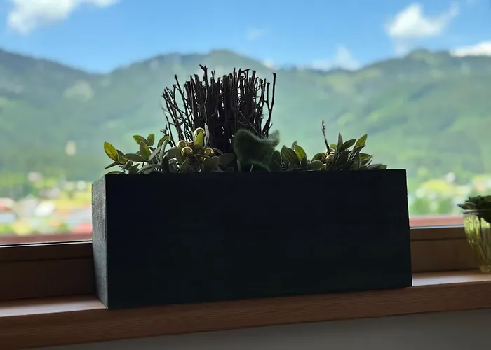 Kogelblick 고사우