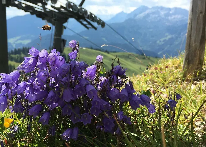 Apartamento Kogelblick Gosau