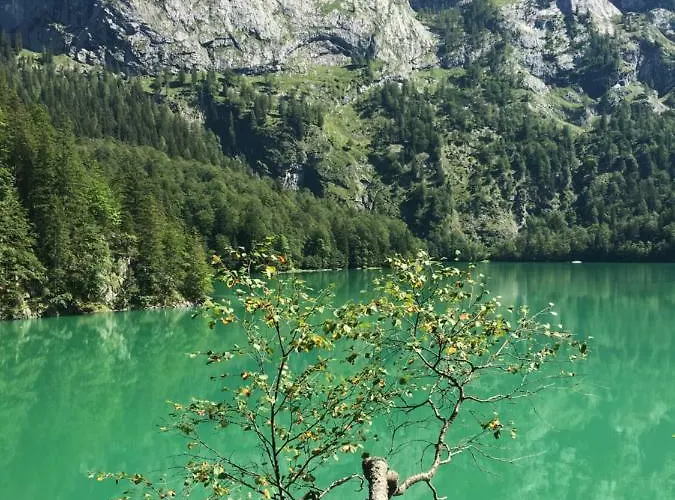 Kogelblick 아파트 고사우